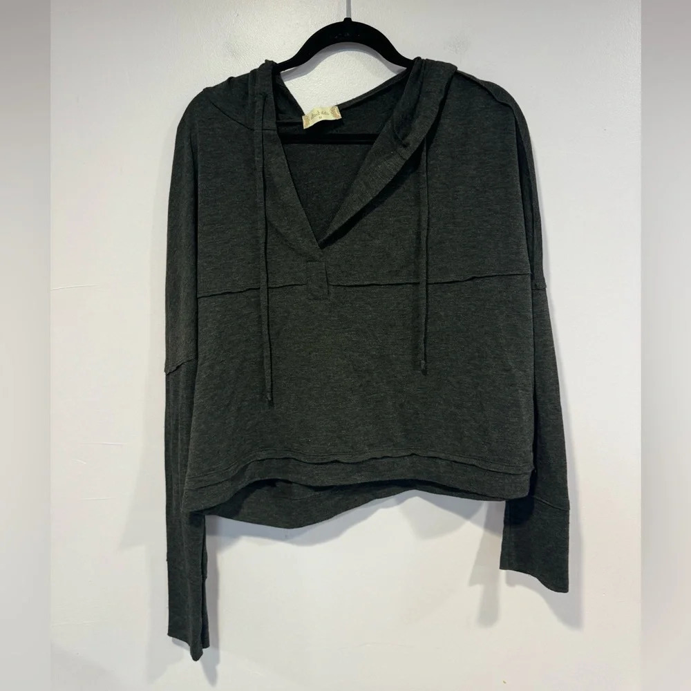 Grey lightweight altar’d state cropped long sleeve